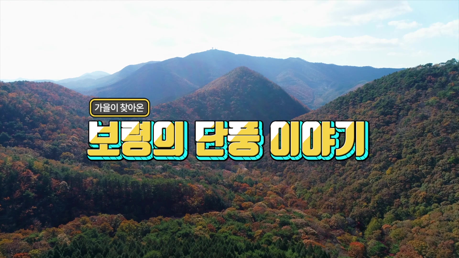 가을이 찾아온 보령의 단풍